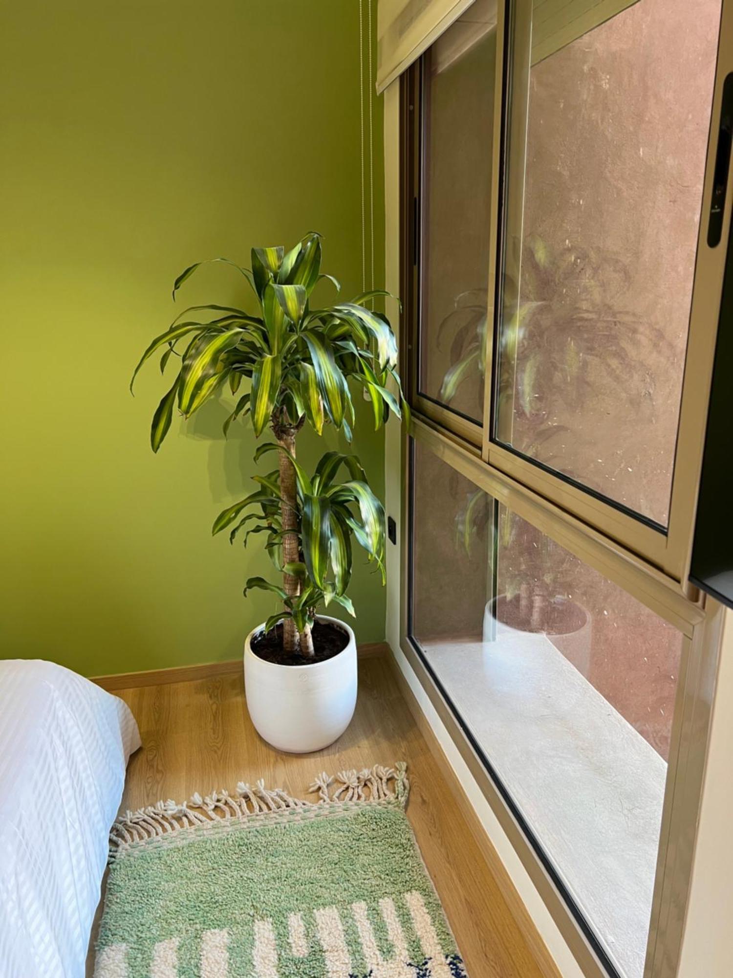 Luxe Appartement A Louer Pour Les Familles Marrakesh Bagian luar foto
